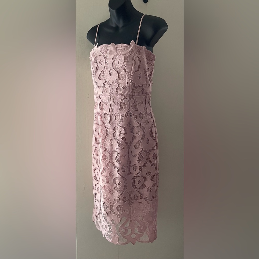 Bardot Pink Rose Lina Lace Dress Size 6